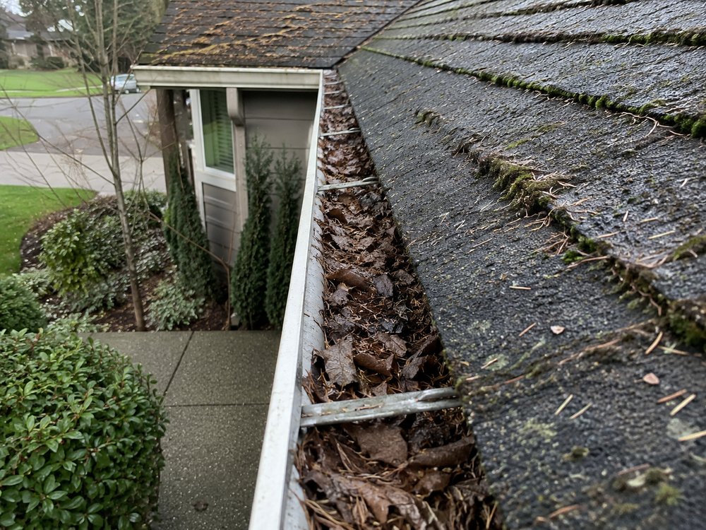 Gutters before cleaning