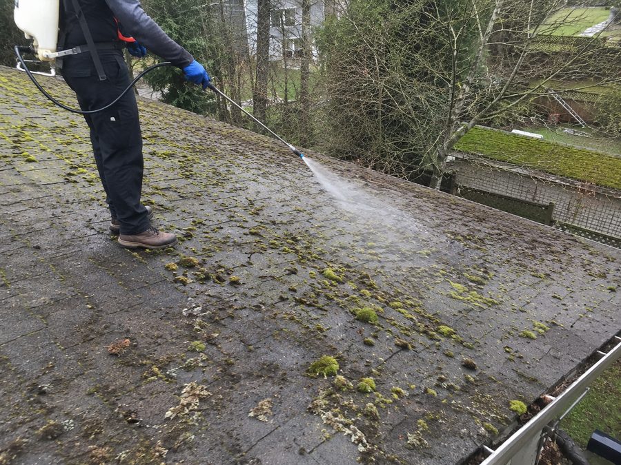 Applying moss treatment to a roof
