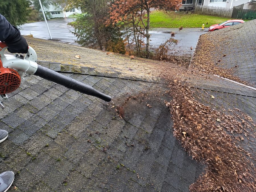 Blowing leaf debris off a roof